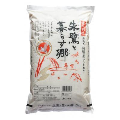 ふるさと納税 佐渡市 【発送月固定定期便】先行予約　朱鷺と暮らす郷　佐渡産コシヒカリ　5Kg全3回