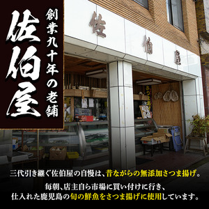 さつま揚げ セット 4種 計18～20個 さつまあげ 【佐伯屋】 2026年6月発送分 土日祝着 No.312-02