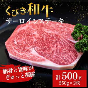 【プロも高評価！】【くびき和牛】 サーロインステーキ 250g×2枚 計500g にいがた和牛 牛肉 新潟県産 上越市 深雪の郷・くびき牛