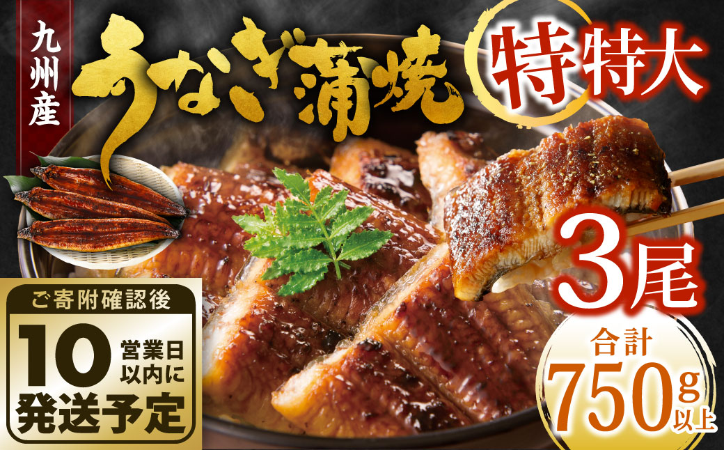 【年内配送】九州産 うなぎ蒲焼 特特大3尾 (1尾あたり250～266g) 合計750g以上