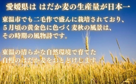 押しはだか麦 麦ごはん 食物繊維 愛媛県産 押しはだか麦【計2kg(1kg×2袋)】