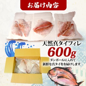 天然真タイフィレ600g ｜真鯛 タイ たい まだい 魚 魚介 刺身 冷凍 焼き物 小分け ご飯のお供 1万円 10000円 三陸産 岩手県 大船渡市