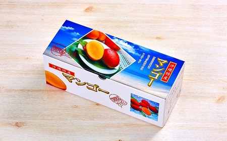 【2024年発送先行予約】沖縄県【琉花ファーム】アップルマンゴー秀品１kg　（ご贈答用）