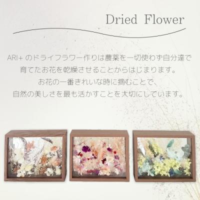 ふるさと納税 三原市 【ARI+】ドライフラワーフレーム C グリーン [226-003] |  | 02