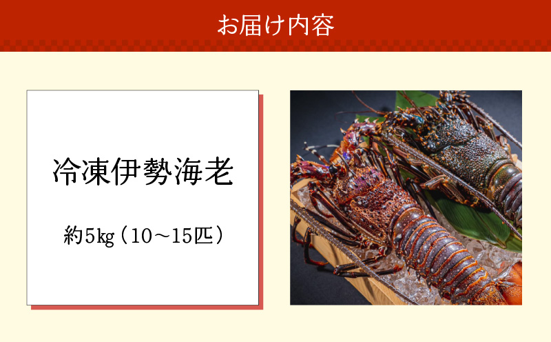 沖永良部島直送！素潜り漁師オススメの冷凍伊勢海老 約5kg（10～15匹）！　W030-005u