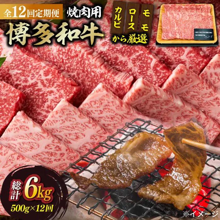 【全12回定期便】博多和牛焼肉用 500g 牛肉 焼肉 [ABBP035]