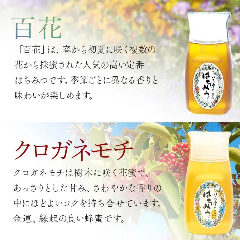 はちみつ 百花 クロガネモチ 各300g 計2本 天然 非加熱 純粋 生 はちみつ 蜂蜜 食べ比べ