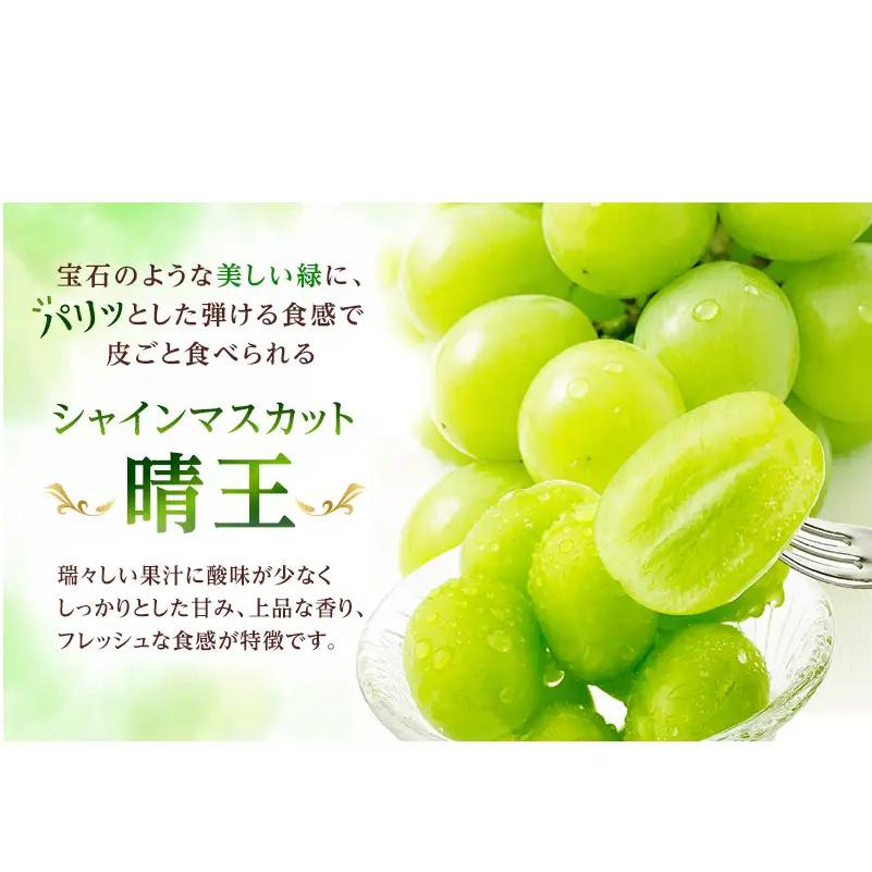 シャインマスカット 晴王 岡山県船穂産 シャインマスカット【1房 約600g】【先行予約】