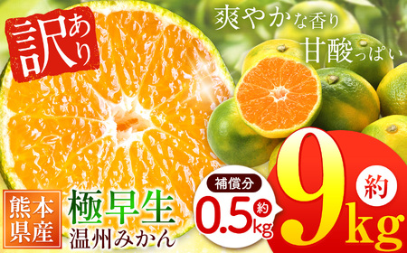 訳あり 熊本県産 温州みかん 極早生 約 9kg +約 0.5kg (補償分）| フルーツ 果物 みかん ミカン 蜜柑 ご家庭用 熊本県 玉名市