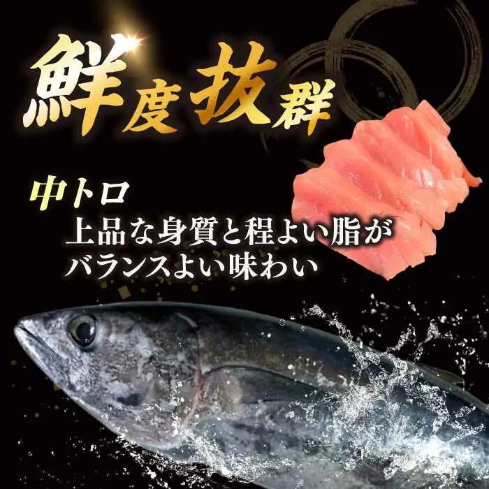 冷蔵！生本マグロ 中トロ 計約400g マグロ まぐろ 鮪 刺身 五島列島産養殖 [RBN016] 本マグロ 本まぐろ 本マグロ 本まぐろ 本マグロ 本まぐろ 本マグロ 本まぐろ九州 長崎