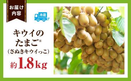 キウイフルーツ【キウイのたまごR】(キウイっこ)　約1.8kg | キウイ フルーツ 果物 旬 旬の果物 キウイフルーツ デザート 生鮮食品 贈り物 贈答 お裾分け おすすめ 人気 ギフト グルメ 特