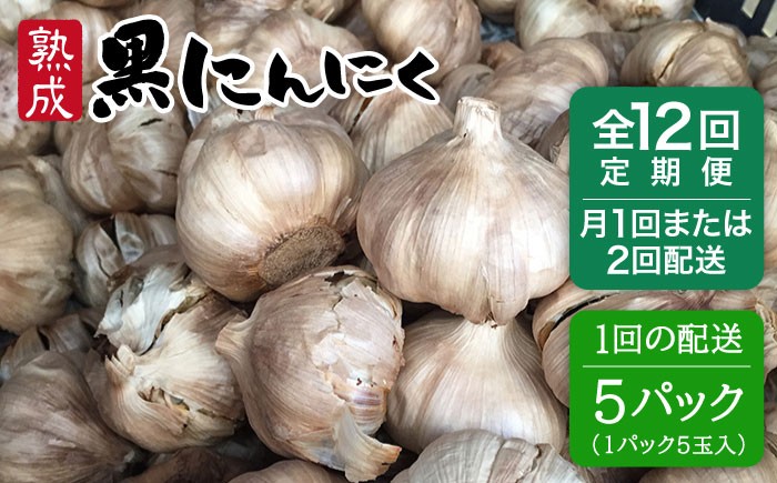 
                  【選べる発送時期】【 全12回 定期便 】熟成 黒にんにく 25玉 （ 1パック 5玉 × 5パック ） 《糸島》 【シーブ】 [AHC040]
                