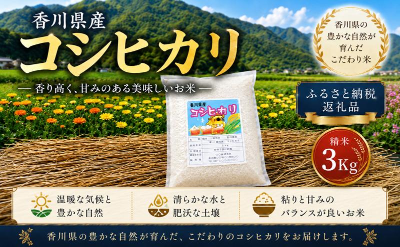 コシヒカリ 精米 3kg 香川県産 米 こしひかり 合鴨農法 アイガモ農法 合鴨 アイガモ 合鴨米 栽培期間中農薬不使用 化学肥料不使用 安心 安全 水田 放し飼い 香川県産コシヒカリ 白米 ご飯 ごはん お米 3キロ おぎファーム 香川 香川県 東かがわ市