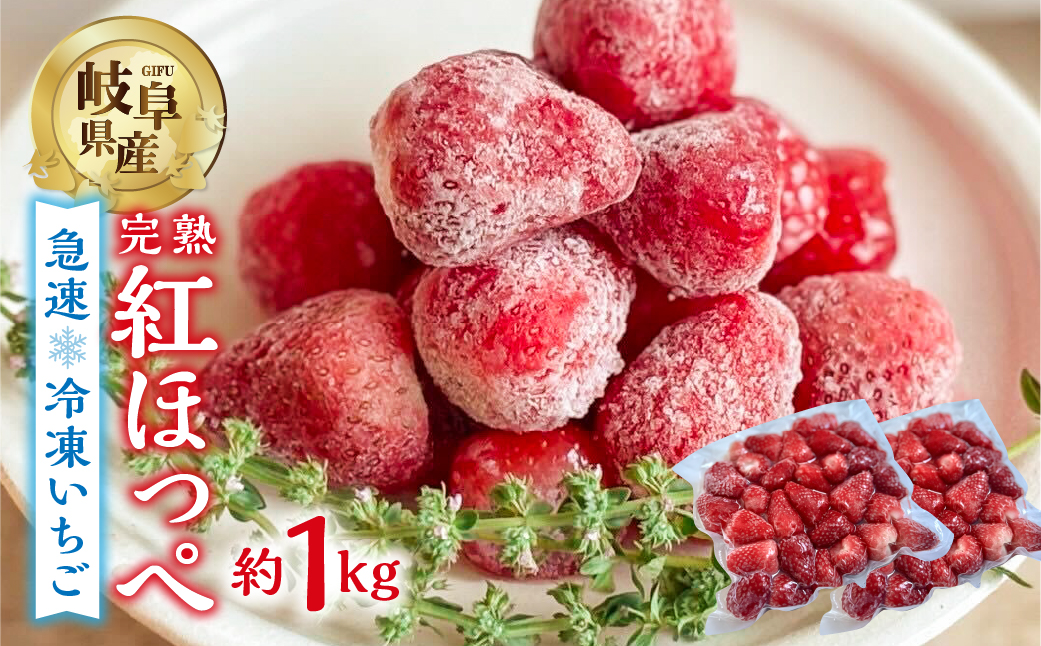 【2026年5月より発送】《 訳あり 》 冷凍いちご 紅ほっぺ 1kg (500g × 2p) 簡易梱包 サイズ 不揃い のため 訳あり 訳アリ フルーツ 果物 苺 いちご イチゴ アイス ヨーグルト 苺 family農園 子ども 小分け 家庭用 国産 産地直送 岐阜県 本巣市 8000円 8千円 [mt1560]