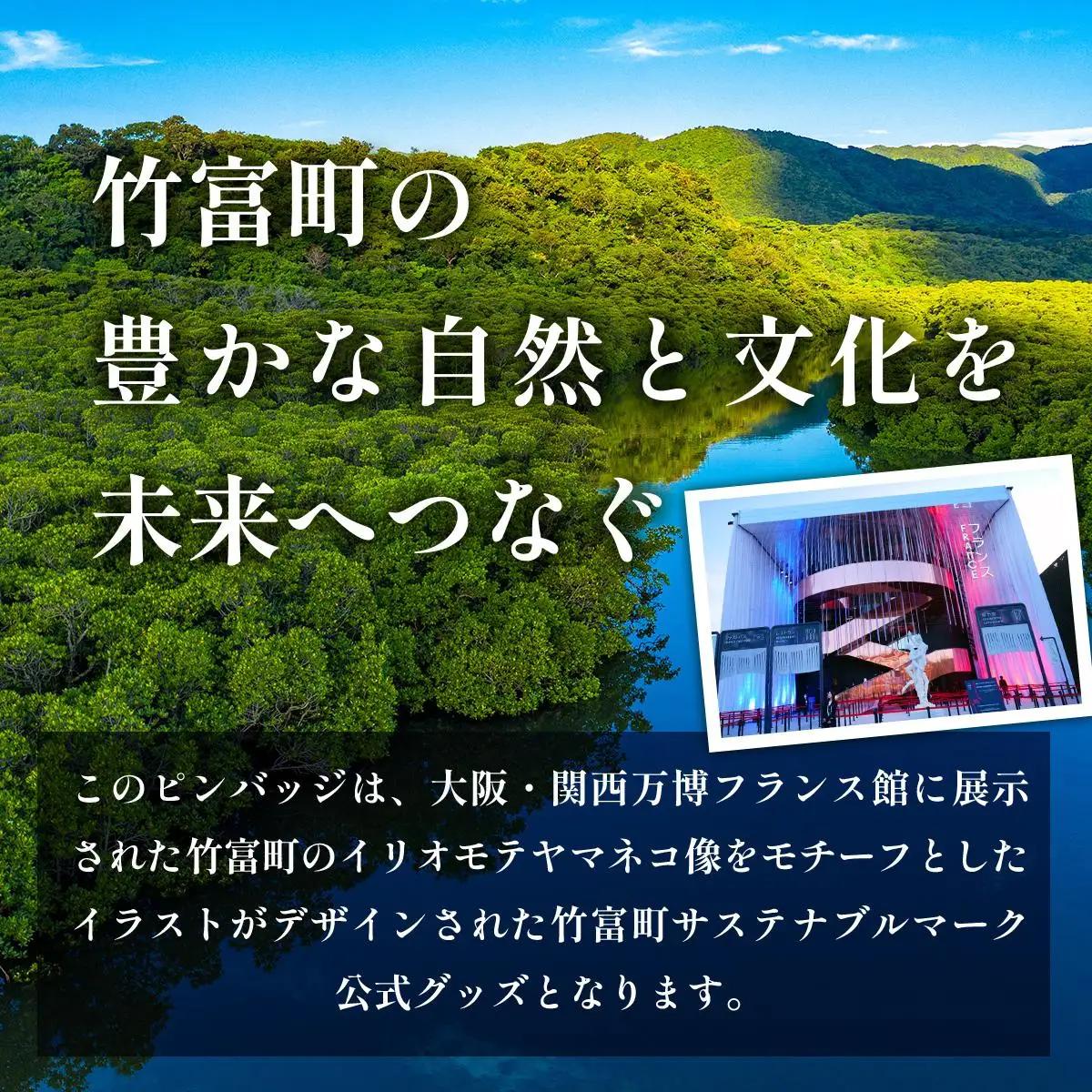 竹富町公式サステナブルマークピンバッジ【白】（マグネットタイプ）