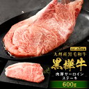 【ふるさと納税】A4〜A5等級 肉厚サーロインステーキ 合計600g (300g×2枚) 九州産黒毛和牛 黒樺牛 牛肉 ステーキ サーロイン 和牛 牛 黒毛和牛 国産 冷凍 送料無料