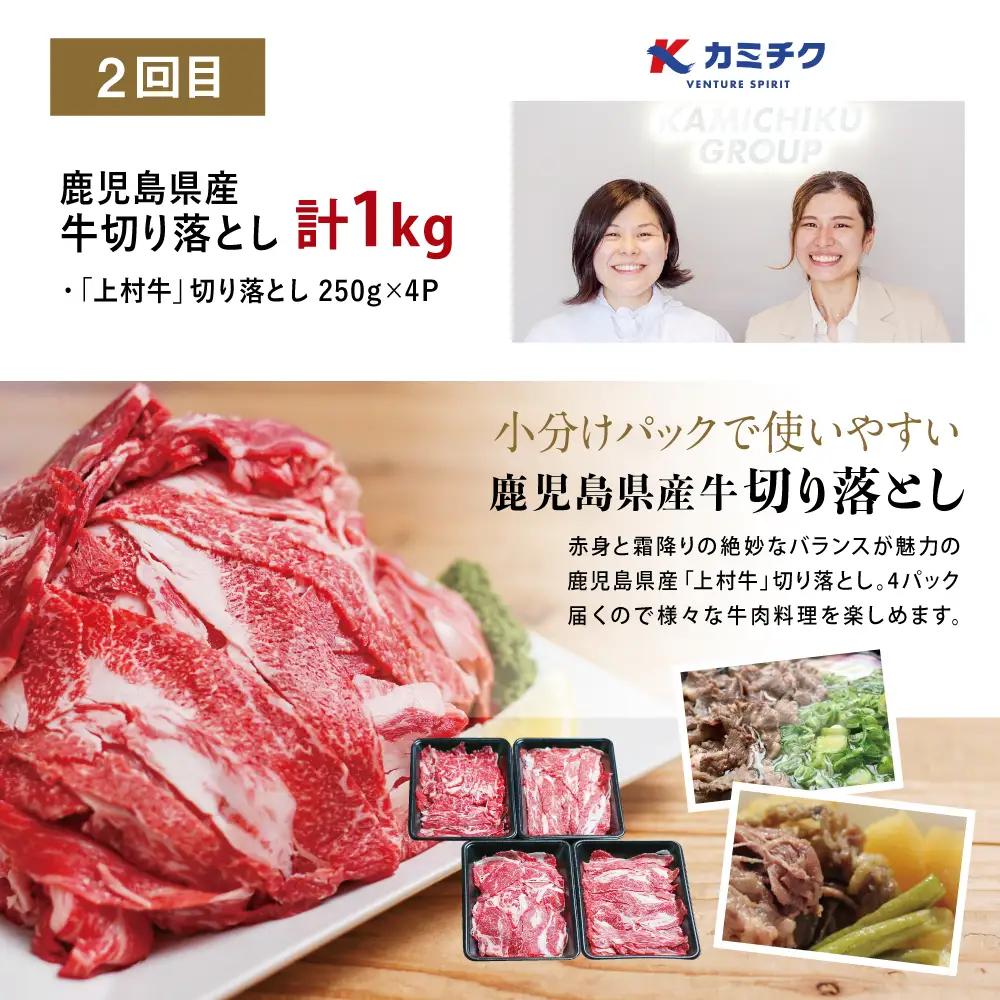 【 定期便 全3回 】 鹿児島県産 便利な牛肉・豚肉定期便 計4.6kg 人気のお肉返礼品を楽しめる 3種類 こま切れ 切落し 切り落とし 鹿児島県産 ブランド牛 牛肉 豚肉 しゃぶしゃぶ ロース 肩