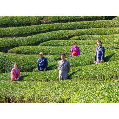 ふるさと納税 日之影町 一心園の釜炒り茶大袋10kg【A-100】 |  | 02