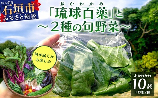 
            沖縄の健康長寿の秘訣「琉球百薬（おかわかめ）」10袋と旬のおまけ野菜詰め合わせ！農薬を使わない栽培方法を続けるミネイさんの野菜【 沖縄 石垣島 石垣島産 野菜 セット 詰合せ 農薬不使用 離島のいいもの 沖縄のいいもの石垣島 】OI-24
          