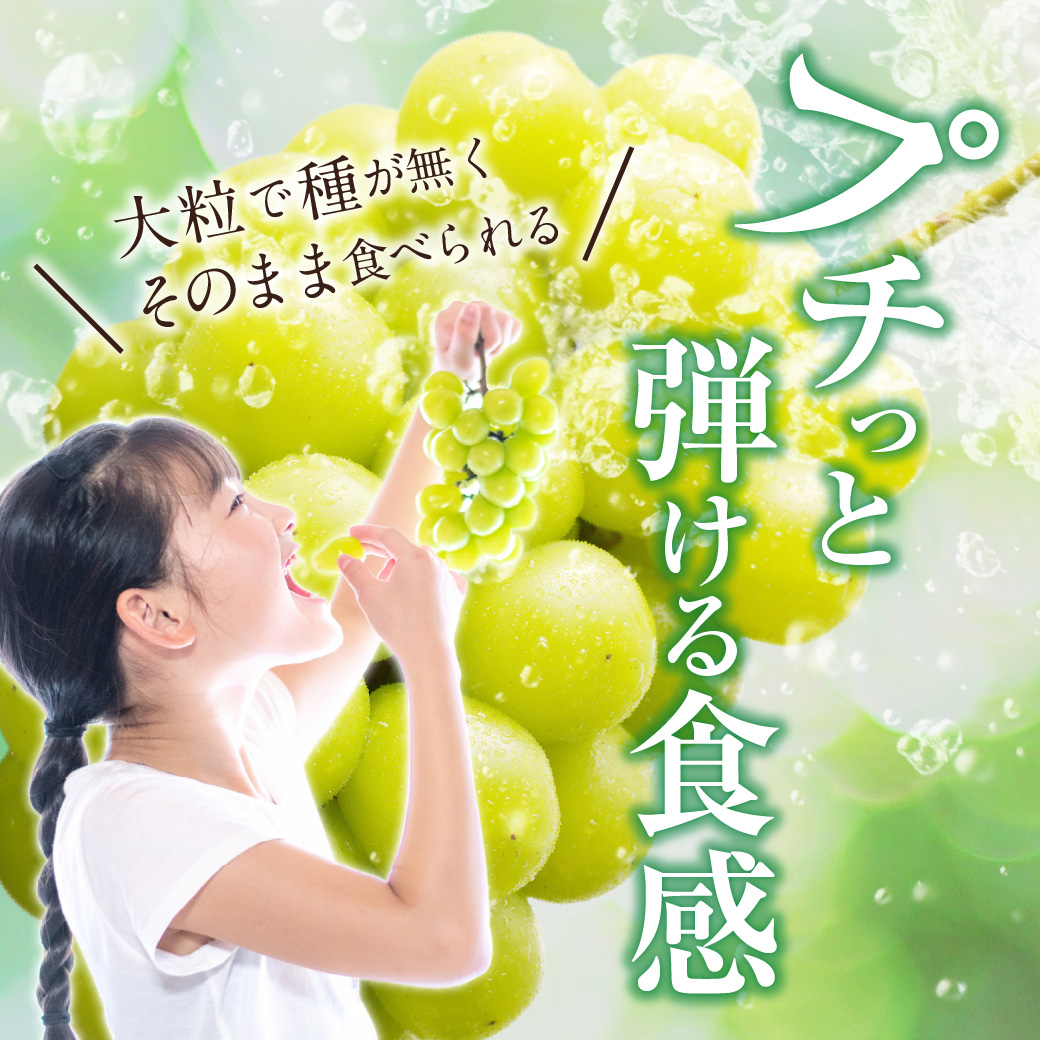 【2025年発送分 先行受付スタート】岡山県産シャインマスカット「晴王」　秀品　大房　（約2kg・2～5房程度）（令和７年8月中旬以降発送）【 シャインマスカット 晴王 フルーツ 果物 葡萄 ぶどう 