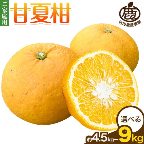 【ふるさと納税】【先行予約】ご家庭用 甘夏柑 4.5kg 8kg 9kg（傷み補償分）池田鹿蔵農園《4月上旬-6月上旬頃出荷予定》 和歌山県 日高町 みかん 柑橘 フルーツ 送料無料 甘夏 くだもの【配送不可地域あり】