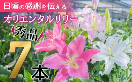 
日頃の感謝を「花束」で、オリエンタルリリー【秀品7本】Osy-03 誕生日 植物 フラワー ギフト プレゼント
