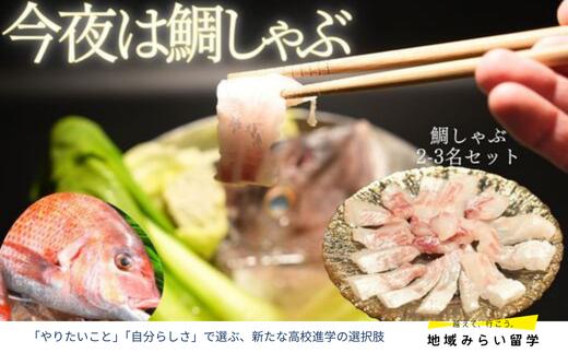 
            【セット】【冷蔵】穂州鯛のしゃぶしゃぶセット(2〜3人前/お刺身用サク&旬の野菜)
          