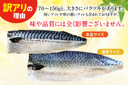 訳あり 減塩 塩サバ フィレ Sサイズ 総重量 2.5kg 20565959