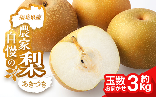 
                  農家自慢の梨 あきづき 約3kg（玉数おまかせ）  なし ナシ 梨 デザート フルーツ 果物 くだもの 果実 食品 FAI-0071
                