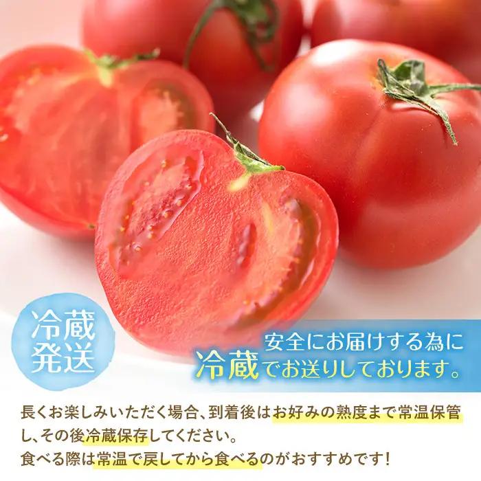 ＜先行予約受付中！2027年1～5月の間に発送予定＞ひなたのとまと(1.1kg)野菜 冷蔵 国産 【A-4】【新門トマト農園】
