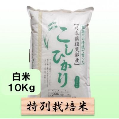 ふるさと納税 池田町 【令和8年産】特別栽培米 10kg【白米】(コシヒカリ)