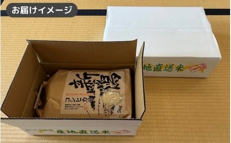 【令和7年産米】 なごみ農園のコシヒカリ 5kg (5kg×1袋) 白綬有功章受章 新潟 | 白米 精米 こしひかり お米 おこめ コメ こめ 新潟県 五泉市 なごみ農園