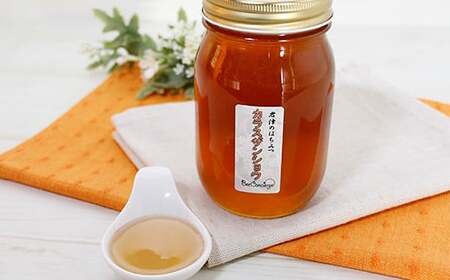 純国産  烏山椒 はちみつ 600g｜非加熱 純粋 天然 蜂蜜 単花蜜  からすざんしょう ハチミツ ギフト｜千葉県 君津市