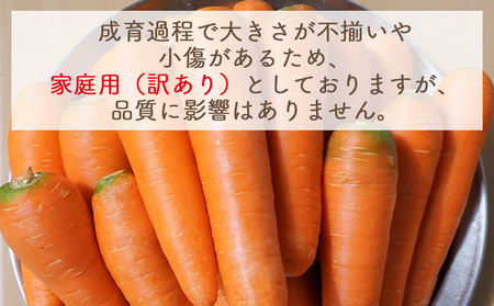 【2026年11月以降発送】にんじん ７ｋｇ 家庭用 yr-0139