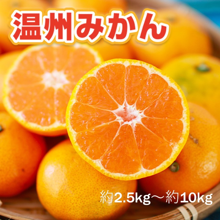 【ふるさと納税】温州みかん＜内容量が選べる／約2.5kg 約5kg 約7kg 約10kg＞【 果物 みかん 温州みかん 佐賀みかん 果物 くだもの 国産 ふるさと納税 フルーツ 】
