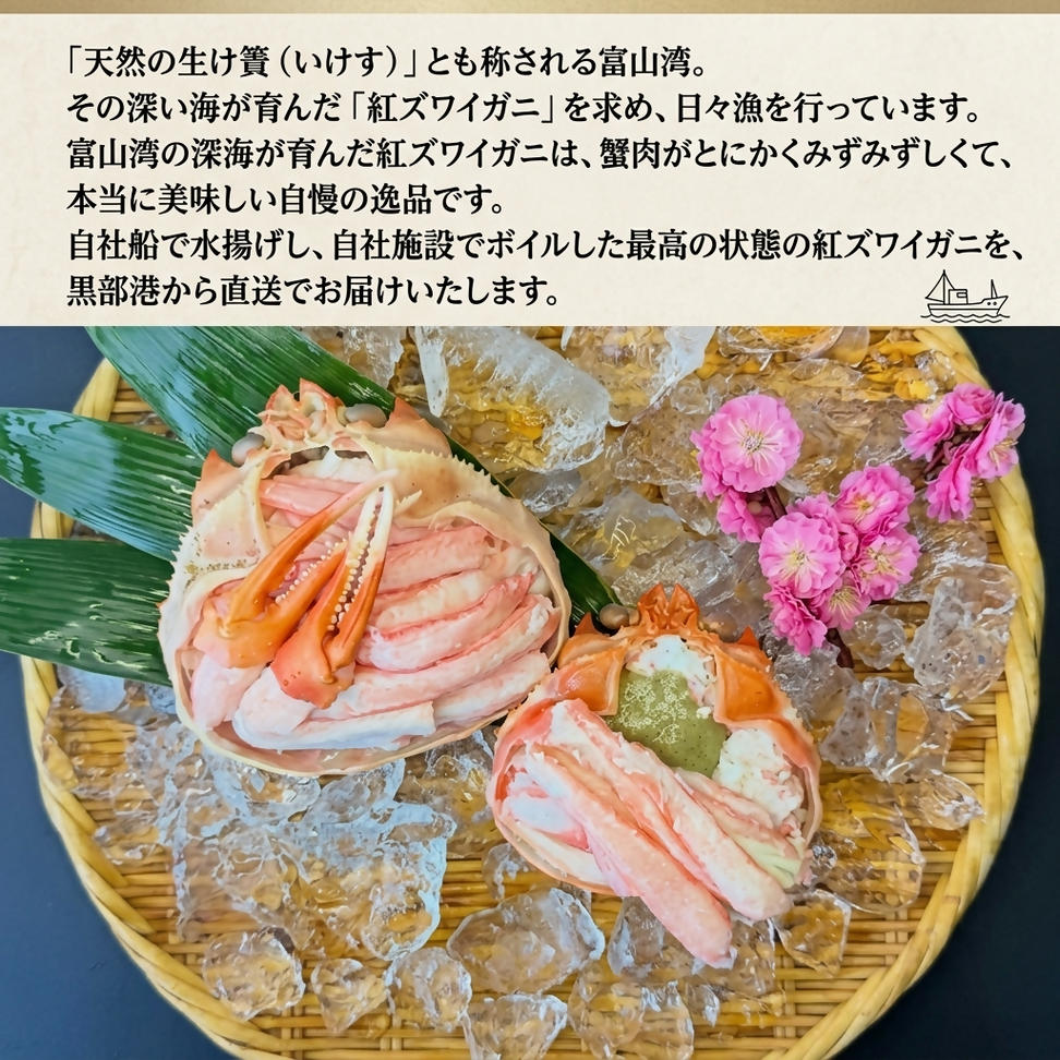 厳選! 高志の紅ガニ 富山湾産タグ付き特大紅ズワイガニ 1kg
