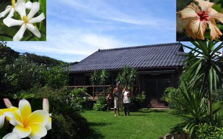 種子島・hau'oli タカラガイ の ペア・バッグチャーム　NFN372【400pt】