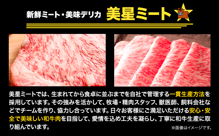 【12ヶ月定期便】美星牛 お肉の定期便 サーロインステーキ 肩ローススライス しゃぶしゃぶ用 ハレノヒ良品《お申込み月の翌月から発送》 岡山県 浅口市 肉 和牛 国産 牛肉 サーロイン 牛ロース しゃ