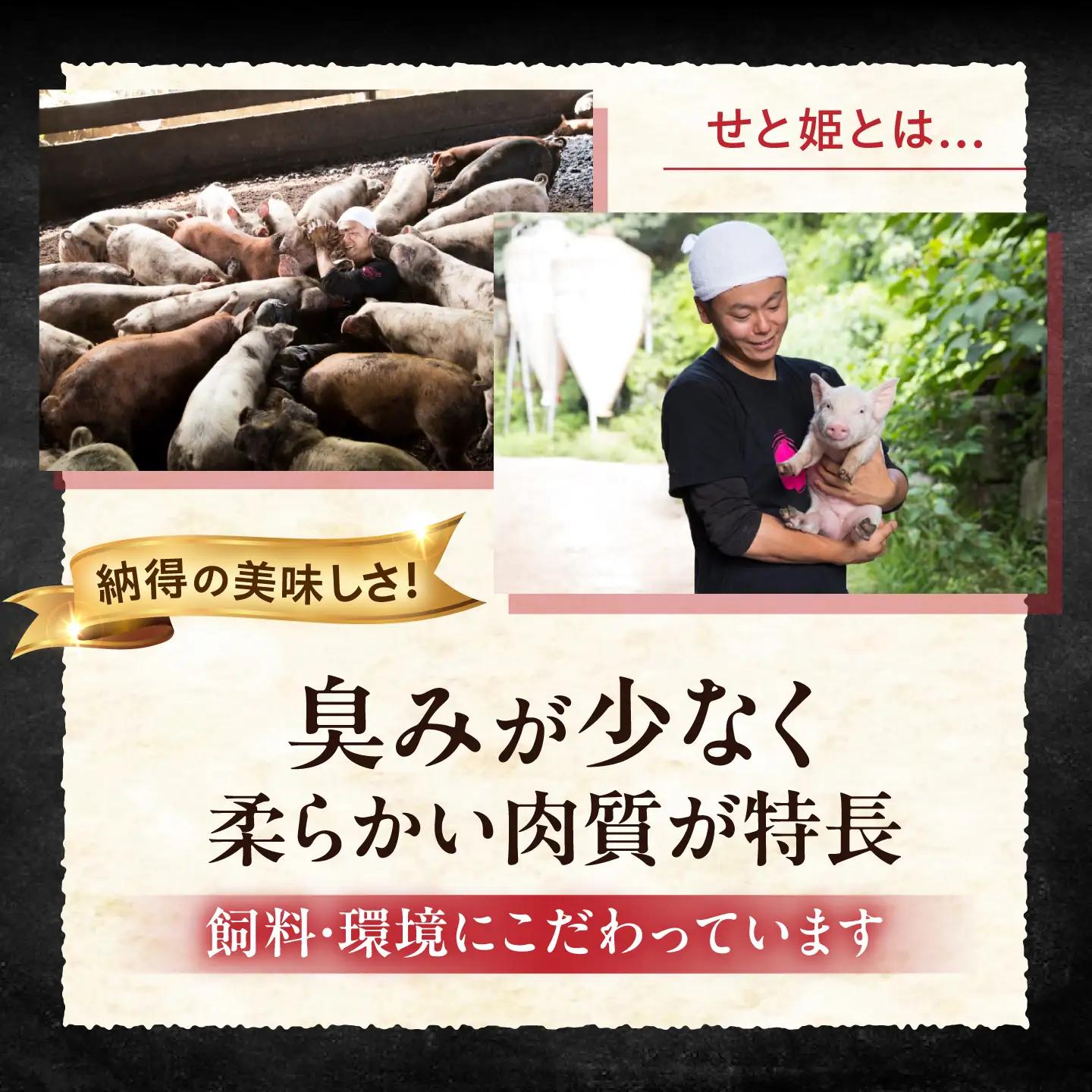 豚肉 シャブシャブ セット 約3kg[BAER036] 豚しゃぶ