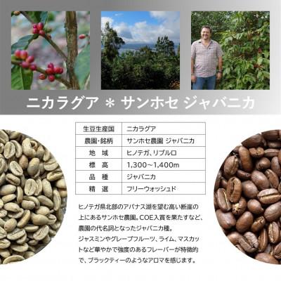 ふるさと納税 上毛町 風味際立つ手鍋焙煎コーヒー豆(中米編) 200g×2袋 |  | 02