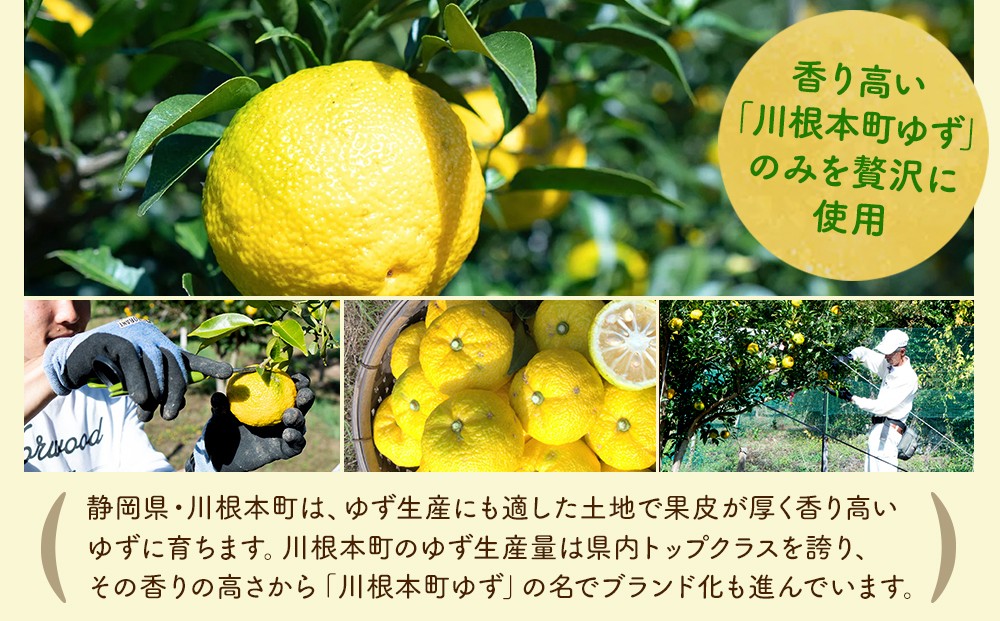 茶畑から生まれた 川根の「ゆずぽんず」