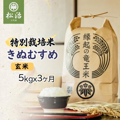 ふるさと納税 竜王町 【毎月定期便】特別栽培米きぬむすめ 玄米5kg×3ヶ月 縁起の竜王米全3回