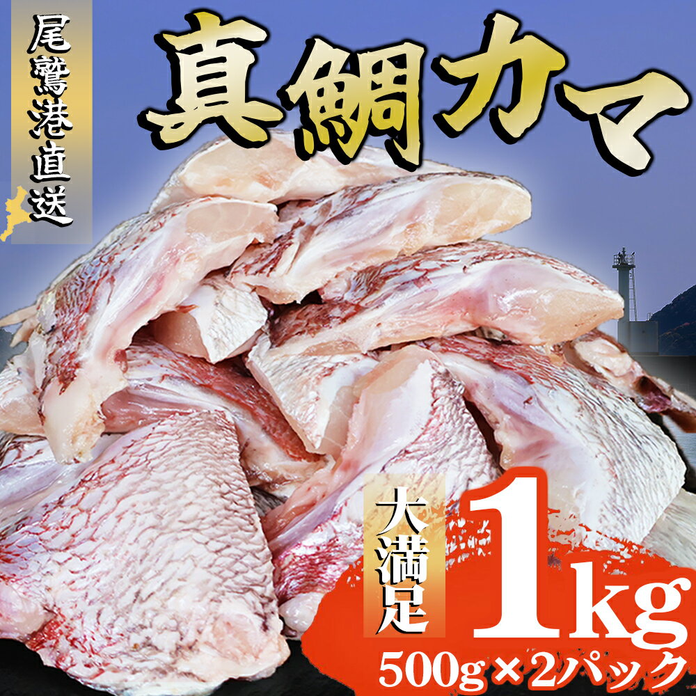 【ふるさと納税】真鯛カマ 切り落とし 大満足 1kg 500g×2 パック 小分け 国産 希少部位 真鯛 マダイ 鯛 タイ たい ソテー 塩焼き 煮付け 鯛めし 人気 大満足 美味しい 魚介類 海鮮 バーベキュー BBQ 冷凍 肉厚 ふるさと納税 ふるさとチョイス 三重県 尾鷲市 OB-35