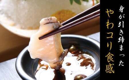 やわコリ食感紀州の蝦夷アワビ 【12個入】｜あわび 養殖 海の幸 貝 海鮮 ※離島への配送不可 鮑 あわび アワビ 鮑 あわび アワビ 鮑 あわび アワビ 鮑 あわび アワビ 鮑 あわび アワビ 鮑 