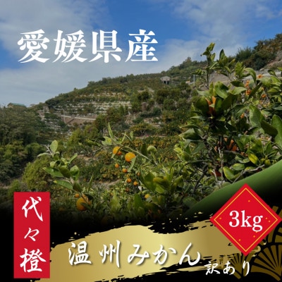 代々橙みかん3kg(家庭用・サイズ混合)【A83−33】【1623572】