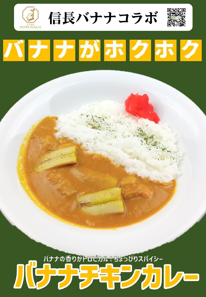 【ふるさと納税】信長バナナチキンカレー5袋セット