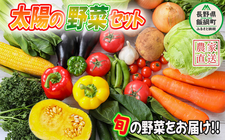 野菜 太陽の野菜セット 【 季節ごと旬の野菜 】 本州限定 2024年6月中旬頃から2024年11月上旬頃まで順次発送予定 ビオ農産物 太陽の恵み ( 化学肥料 除草剤 不使用 ) 長野県 飯綱町 [0009]