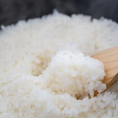 ふるさと納税 松江市 令和7年産 プレミアム仁多米(こしひかり)なおらい米 真空パック 2kg×2袋(合計4kg)松江市 |  | 02