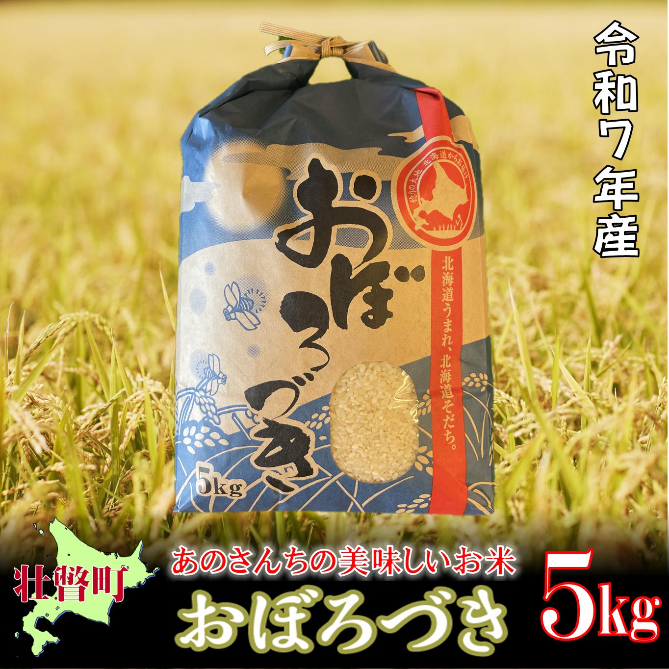 【ふるさと納税】【令和7年産新米】10月上旬よりお届け あのさんちの美味しいお米 おぼろづき 精米5kg 【 ふるさと納税 人気 おすすめ ランキング 米 こめ 精米 白米 ご飯 ごはん コメ おぼろづき 北海道産 北海道 壮瞥町 送料無料 】 SBTL017