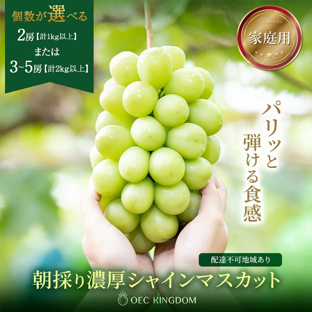 【ふるさと納税】ぶどう 2025年 先行予約 ［ご家庭用］ シャイン マスカット 2房 または 3～5房 (1kg～2kg以上)【第1回全国ぶどう選手権入賞】 | シャインマスカット マスカット ブドウ 葡萄 フルーツ 果物 くだもの 家庭用 岡山県 岡山市 おすすめ 人気